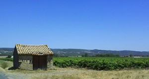Varme, tørre, lavendelduftende og cikadestøjende Languedoc