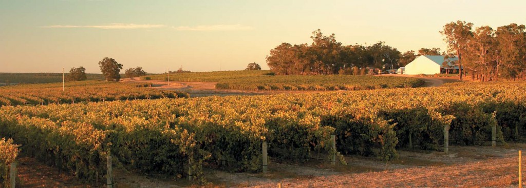 frankland_estate_isolation_ridge