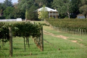 camden_park_estate