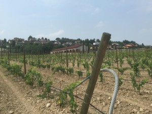 ottella_building_site