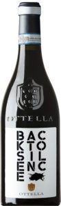 Back to silence Ottella