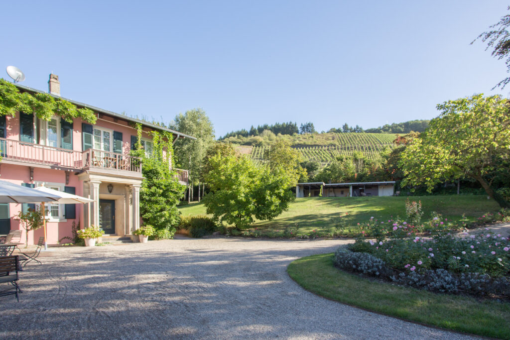 Weingut Reverchon med Herrenberg i baggrunden