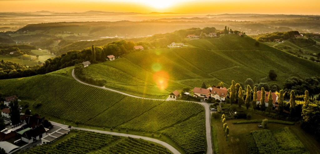 Vinmarker i Südsteiermark i Østrig