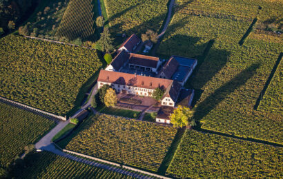 Domaine Weinbach